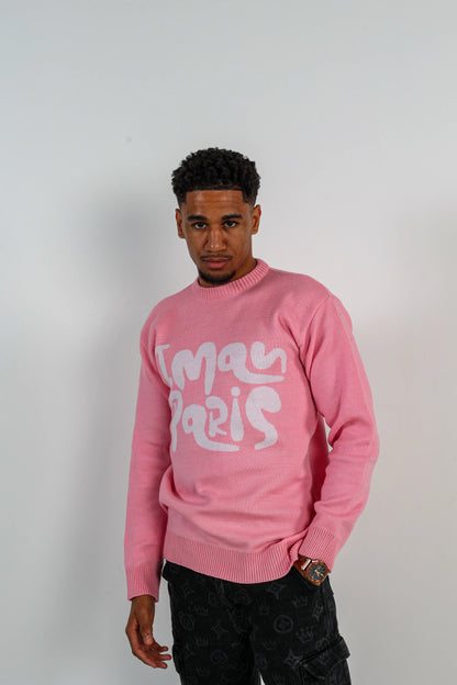 PULL BÊTA HOMME